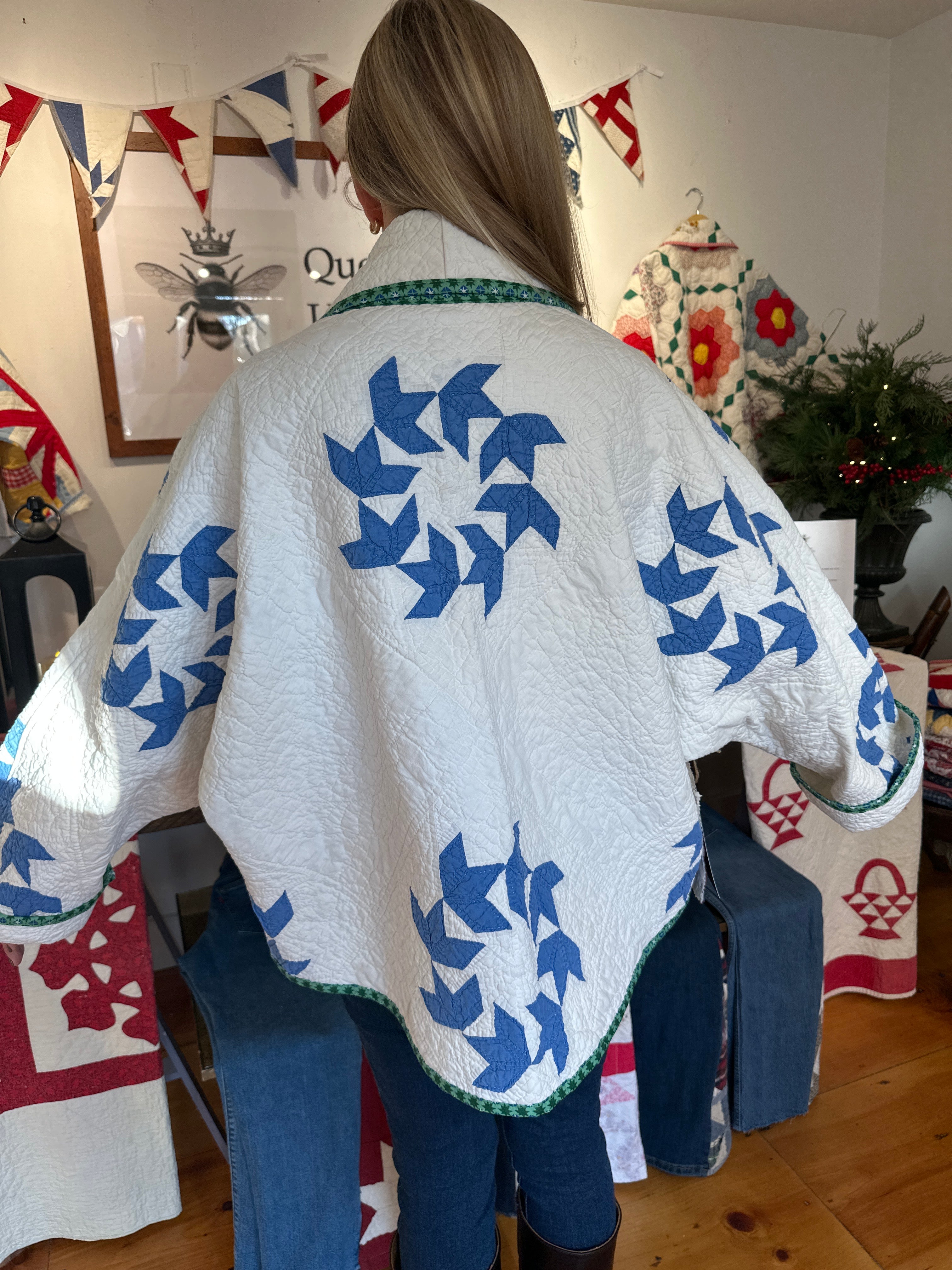 Chasing Geese in Blue